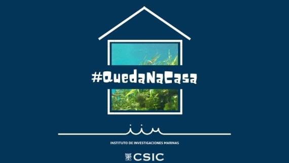 POrtada Queda Na Casa