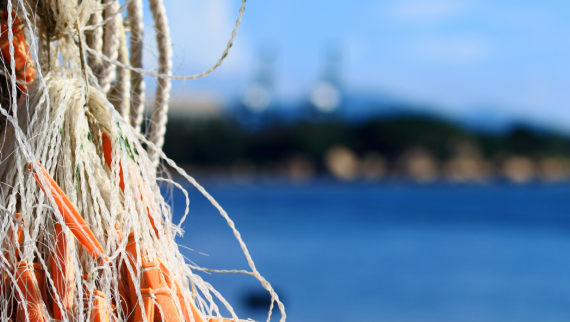 Marine Spatial Planning