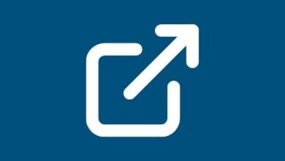 External Website Symbol