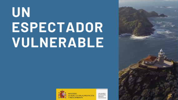 RCO-Un espectador vulnerable