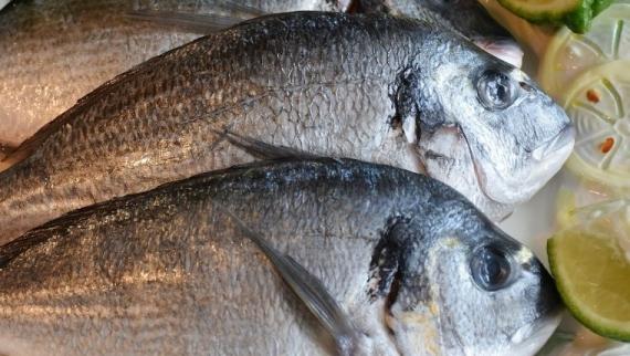 Dourada sobre hortalizas.