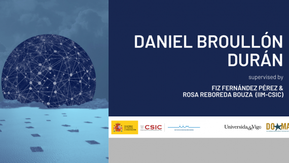 Portada da Tese - Daniel Broullón Durán