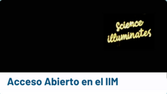Acceso Abierto IIM