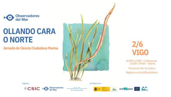 Imaxe portada "ollando cara o nort"