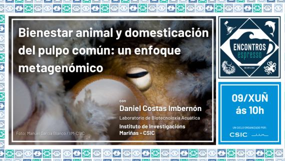 Bienestar animal y domesticación del pulpo: un enfoque metagenómico