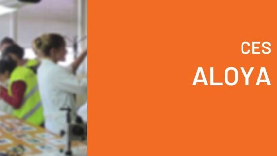 CES Aloya