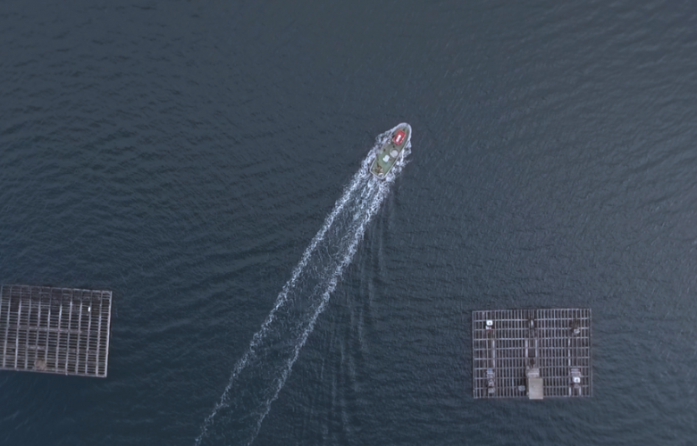 Barco cruzando entre dúas bateas en vista cenital