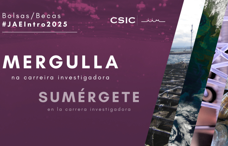 JAE Intro 2025 no IIM-CSIC