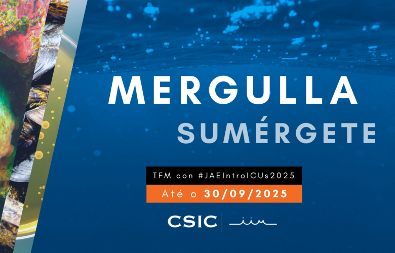 Cartel de la convocatoria JAE Intro ICU 2025