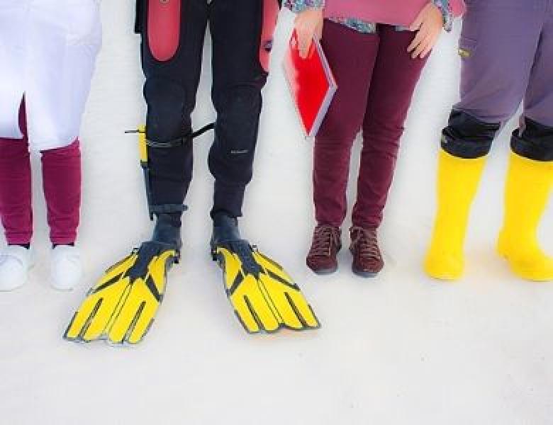 Catro pares de pernas vestidos para laboratorio, mergullo, traballo de campo e traballo con botas.